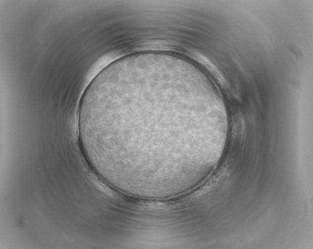 X0000115451370200911251258