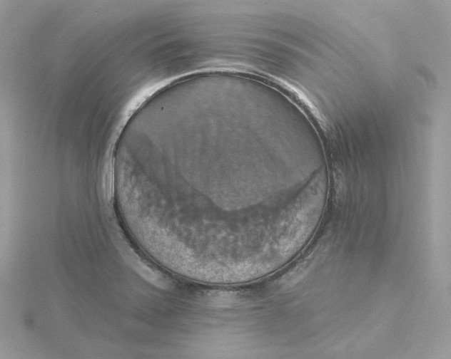 X0000115451371200911251258