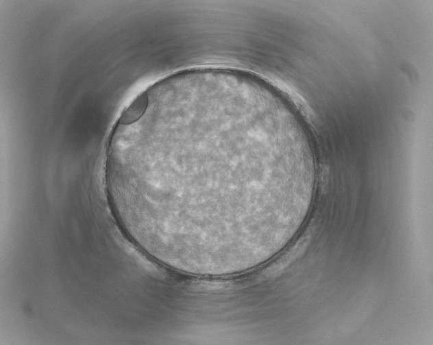 X0000115451374200911251258