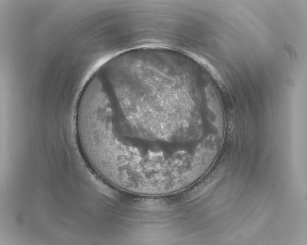 X0000115451375200911251258