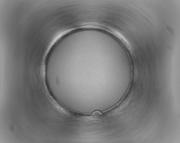 X0000115451376200911251258