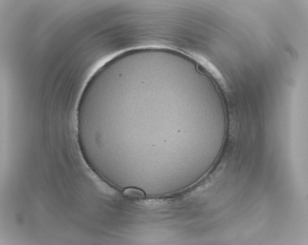 X0000115451380200911251258