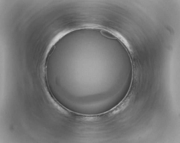 X0000115451381200911251258