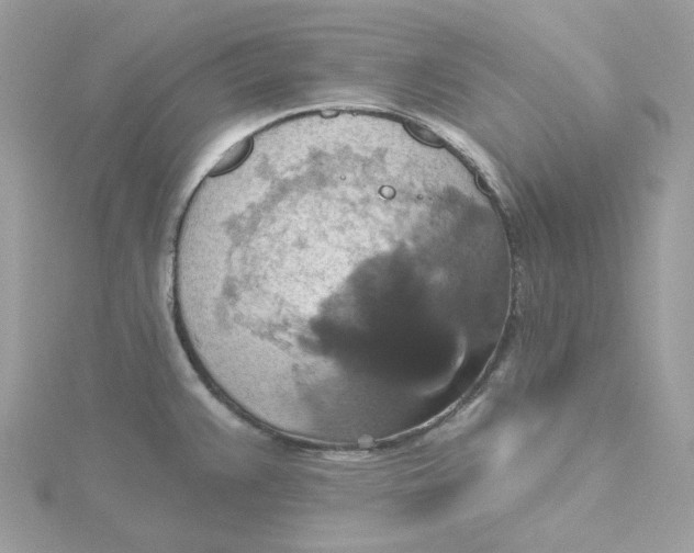 X0000115451383200911251258