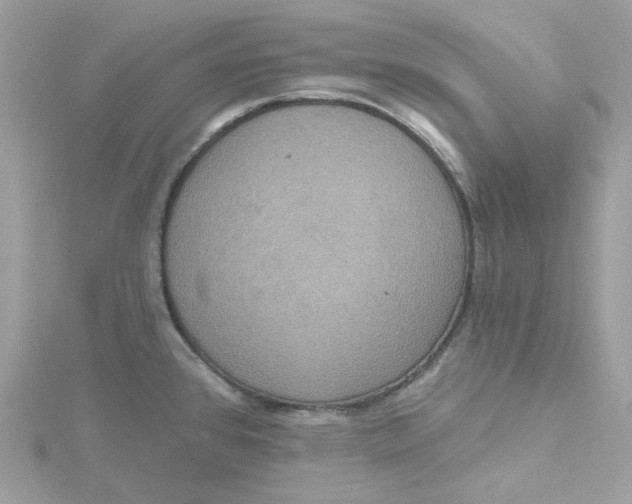 X0000115451384200911251258