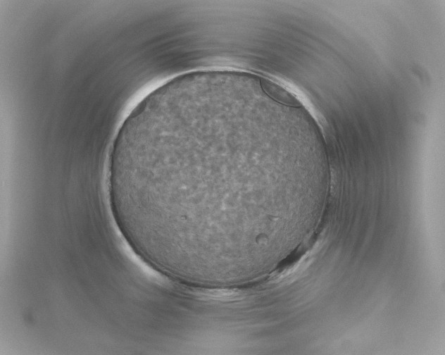 X0000115451387200911251258