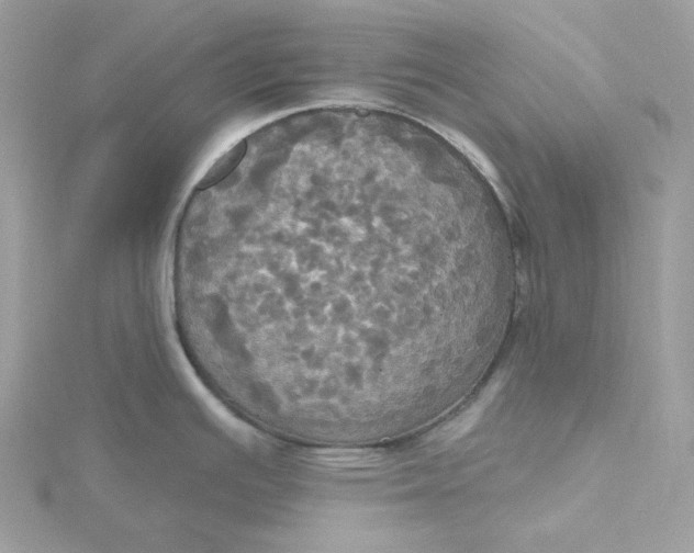 X0000115451391200911251258