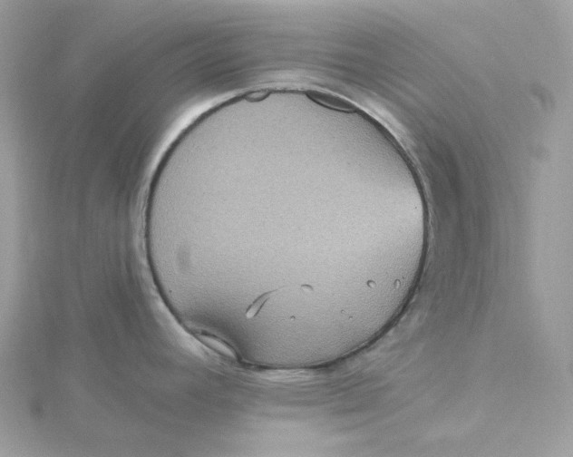 X0000115451392200911251258