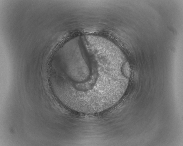 X0000115451393200911251257