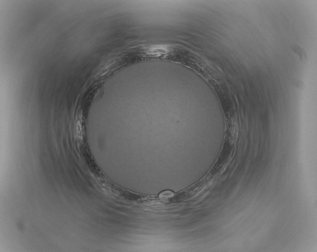 X0000115451394200911251257