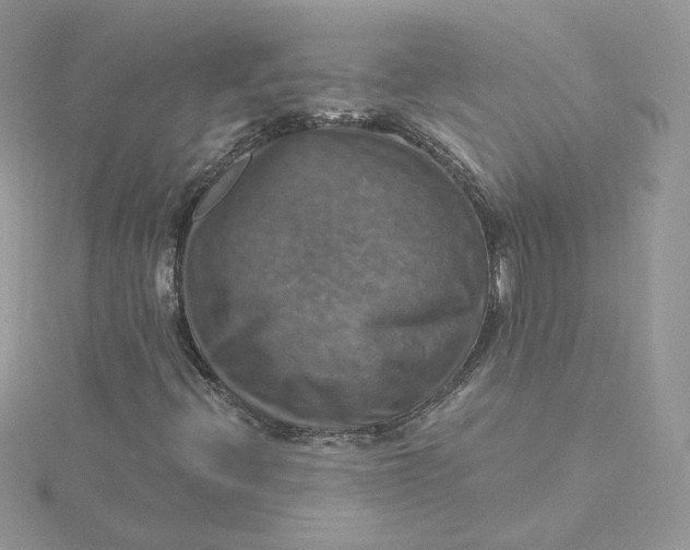 X0000115451396200911251257