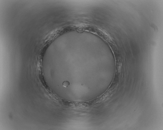 X0000115451397200911251257