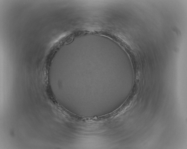 X0000115451398200911251257