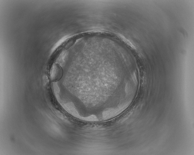 X0000115451400200911251257