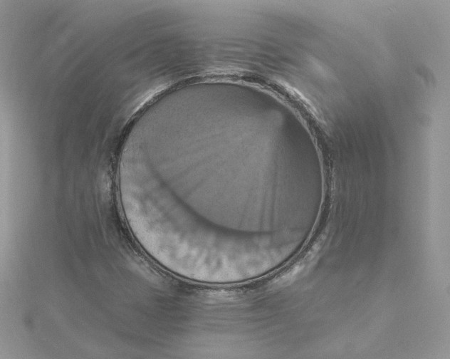 X0000115451401200911251257