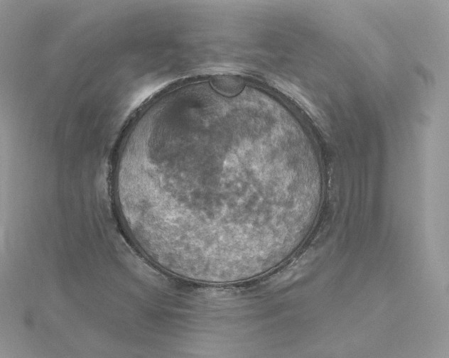 X0000115451404200911251257