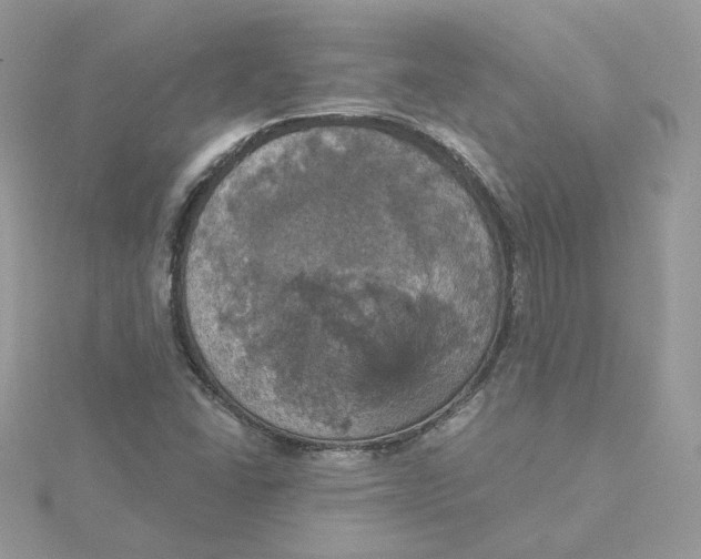 X0000115451406200911251257