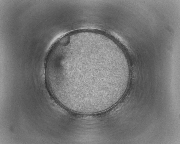 X0000115451408200911251257