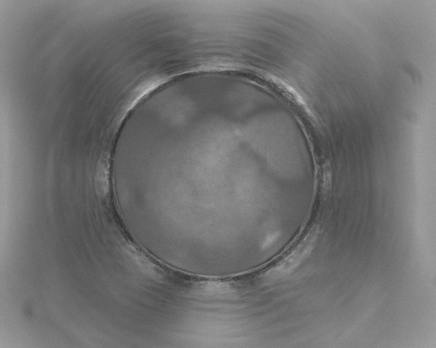 X0000115451409200911251257