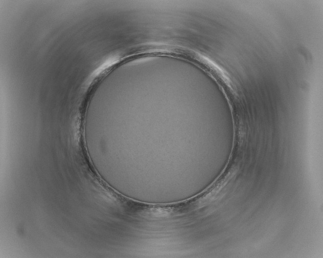 X0000115451411200911251257