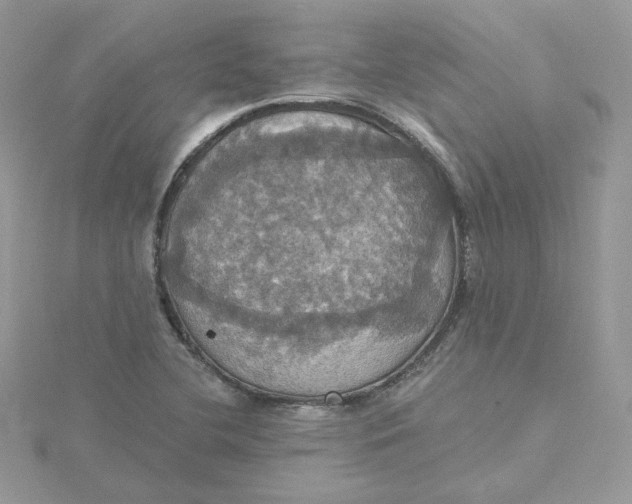 X0000115451412200911251257