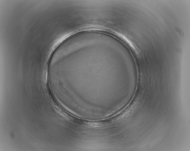 X0000115451413200911251257