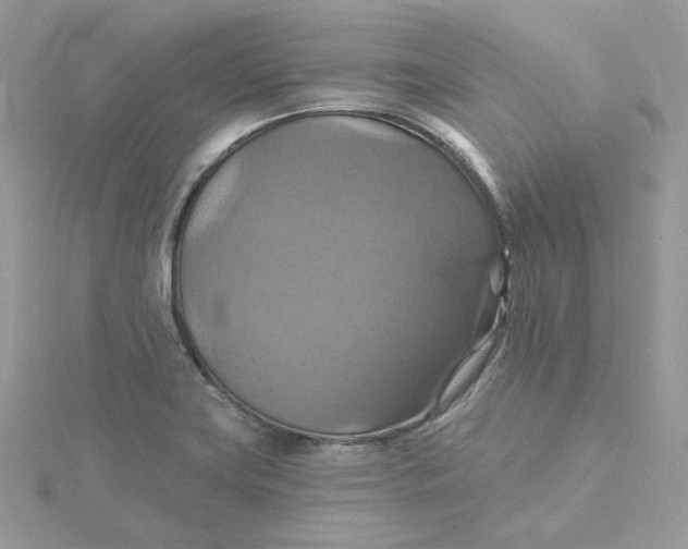 X0000115451419200911251257