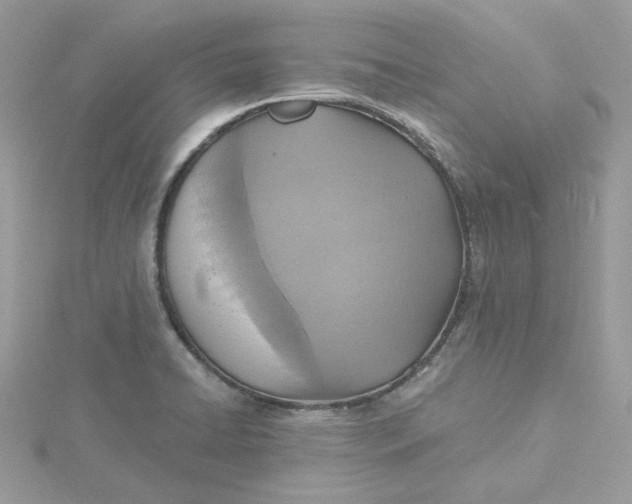 X0000115451422200911251257