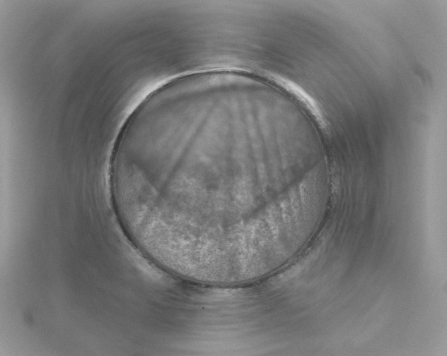 X0000115451423200911251257