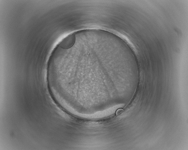 X0000115451424200911251257