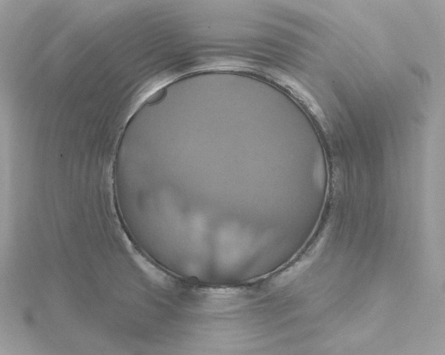 X0000115451425200911251257