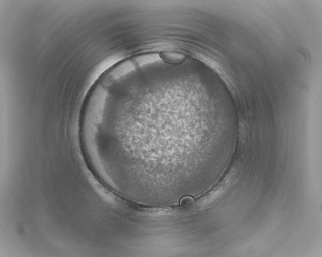 X0000115451426200911251257