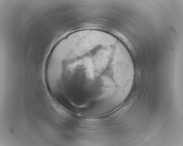 X0000115451427200911251257