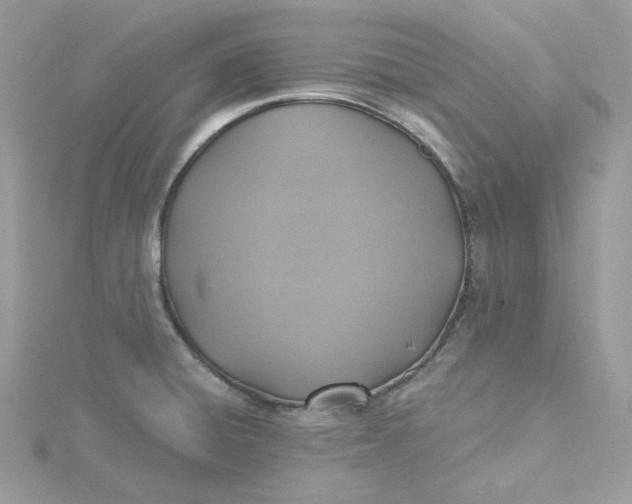 X0000115451428200911251257