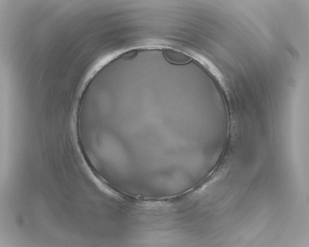 X0000115451429200911251258