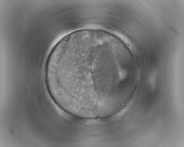 X0000115451430200911251258