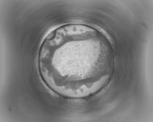 X0000115451432200911251258