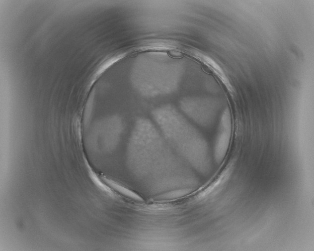 X0000115451433200911251258