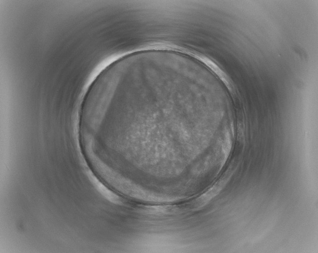 X0000115451438200911251258