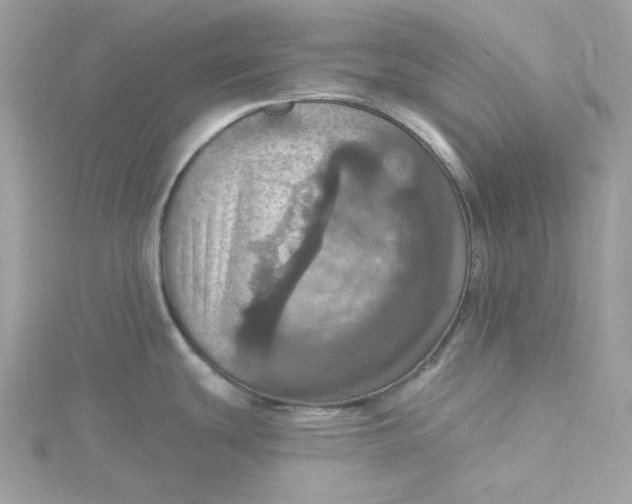 X0000115451439200911251258