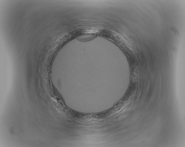 X0000115451441200911251257