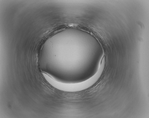 X0000115451443200911251257