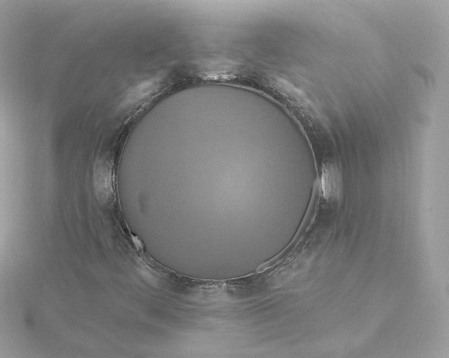 X0000115451444200911251257