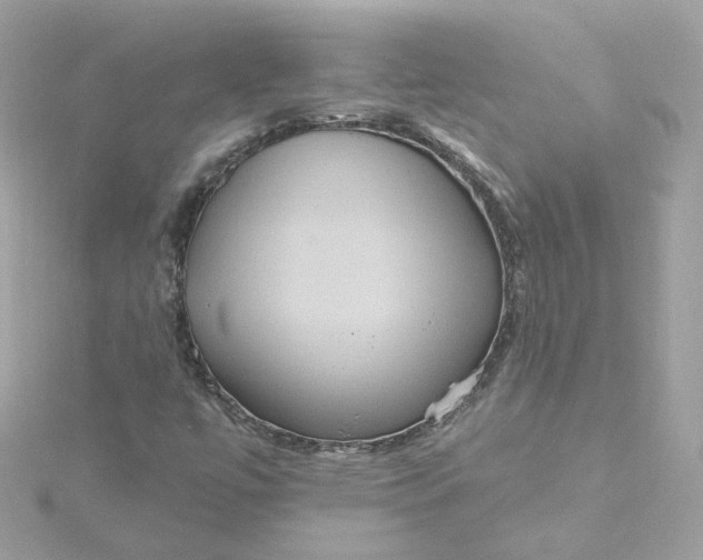 X0000115451447200911251257