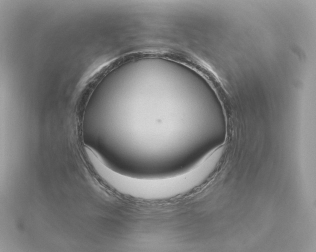 X0000115451448200911251257