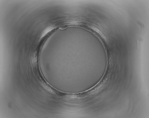 X0000115451450200911251257