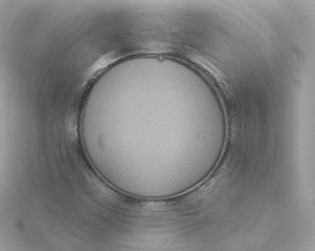 X0000115451451200911251257