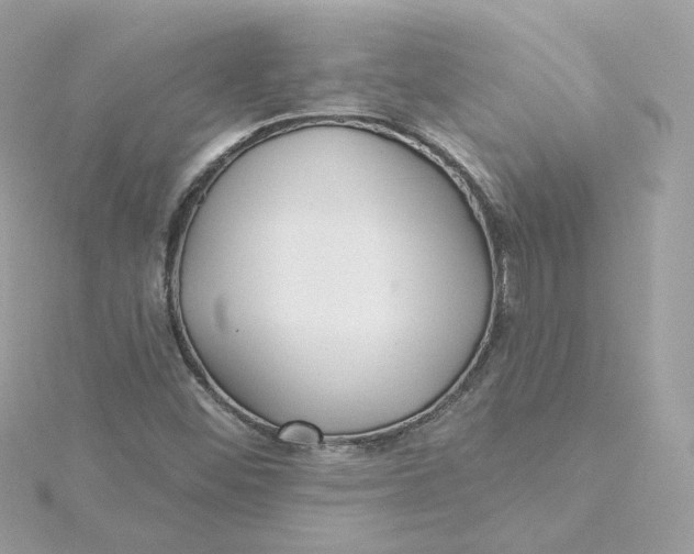 X0000115451452200911251257