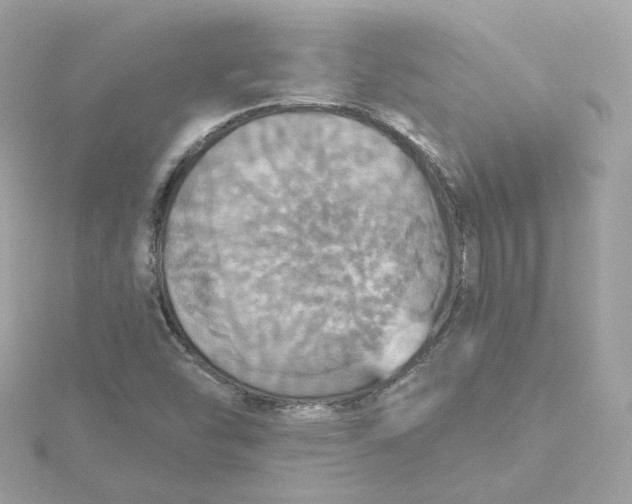 X0000115451454200911251257