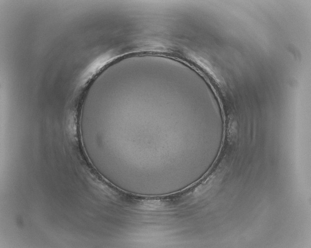 X0000115451455200911251257